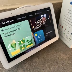 Google Net Hub and Home Mini